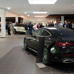 Kestenholz_2025_05 (28 von 66).jpg