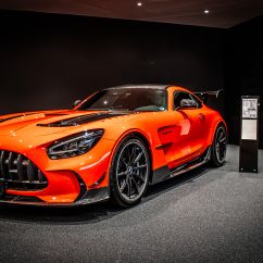 Kestenholz_2025_05 (60 von 66).jpg